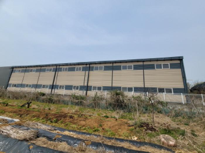 목록 1,4. 모습 1