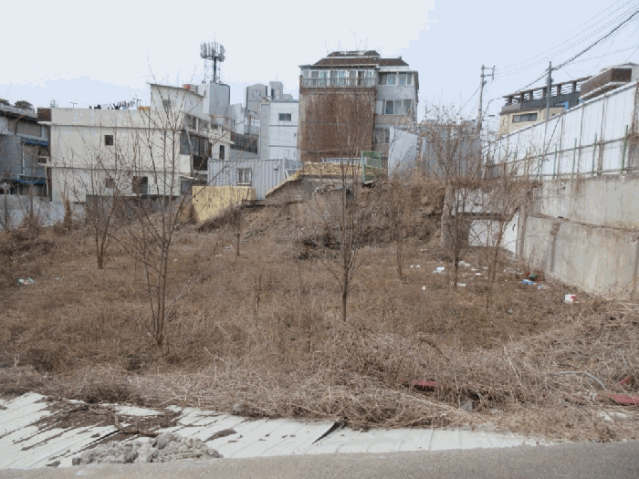 대상물건 전경