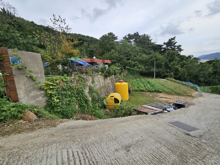 본건 (1)(3)토지 :서측에서 촬영