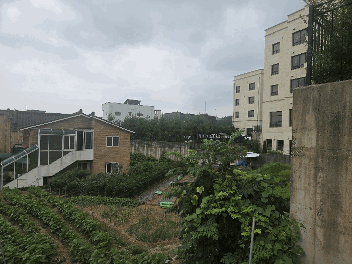 본건전경