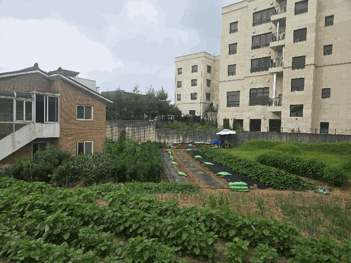 본건전경