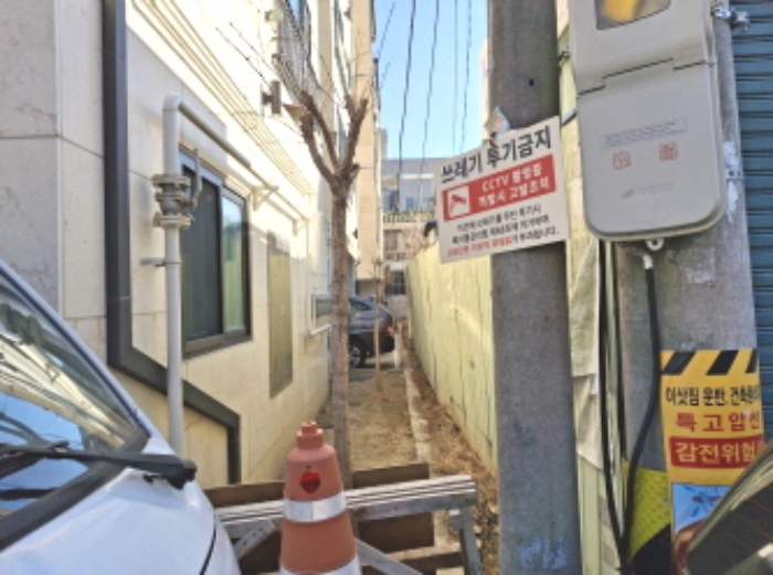 목록3 건물 뒷쪽 제시외 수목 모습