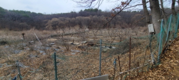 토지 전경도(목