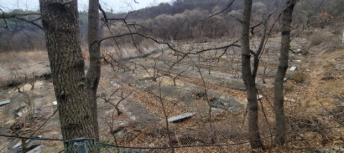 토지 전경도(목