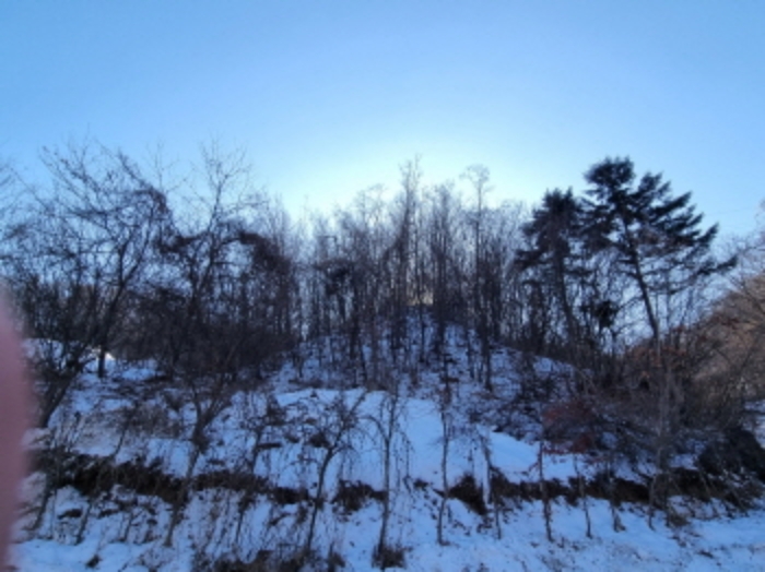 목록 3 모습