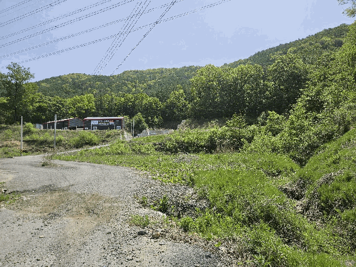 기호(3,6) 전경