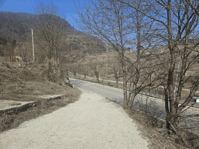 본건 진입로 및 주위전경