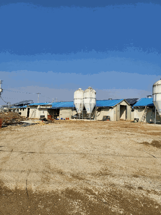 본건 축사 전경