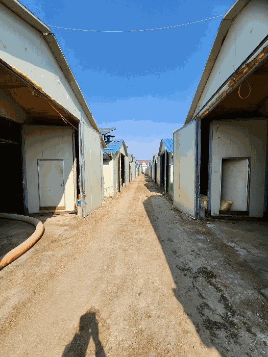 본건 축사 전경