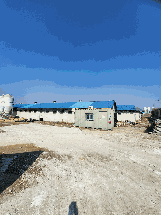 본건 축사 전경