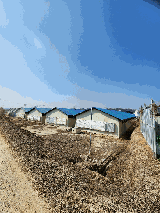 본건 축사 전경