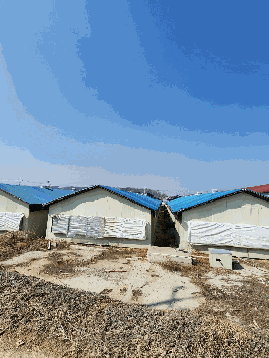 본건 축사 전경