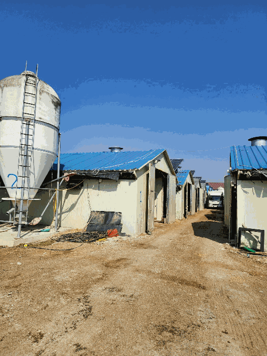 본건 축사 전경