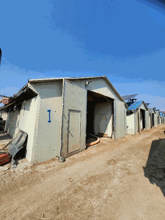 본건 축사 전경