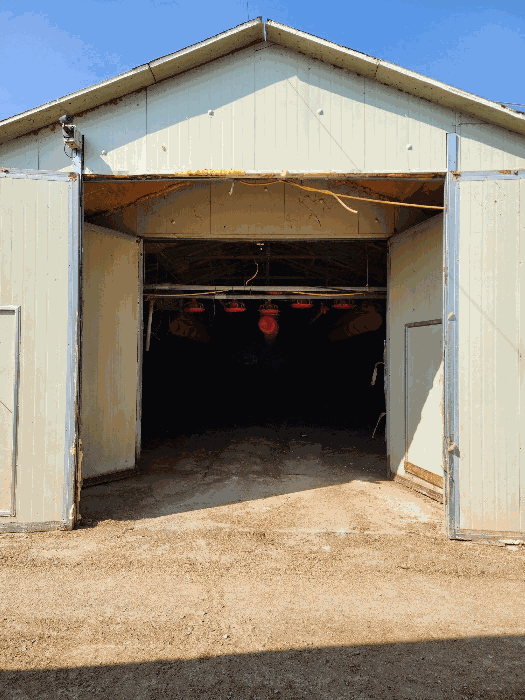 본건 축사 내부 전경