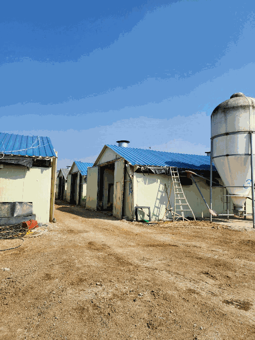 본건 축사 전경