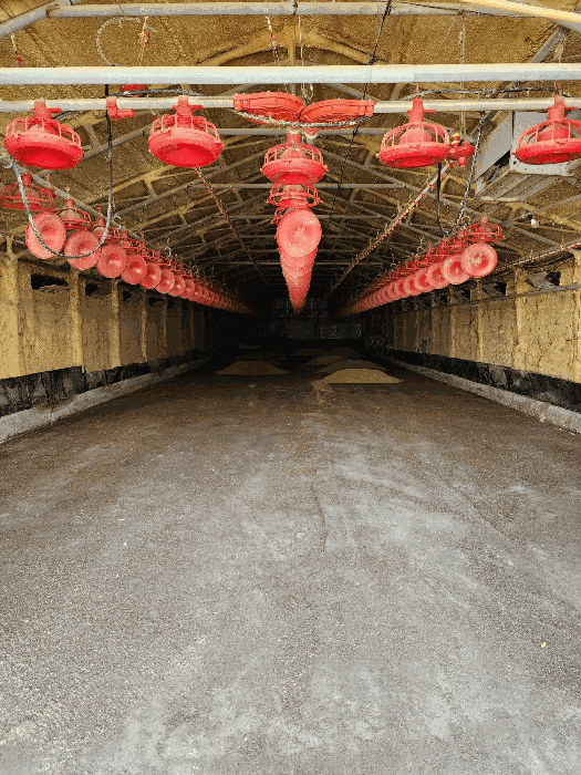 본건 축사 내부 전경