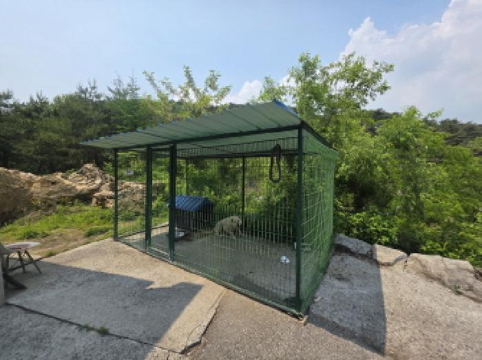 제시외 철골조 강판지붕 견사