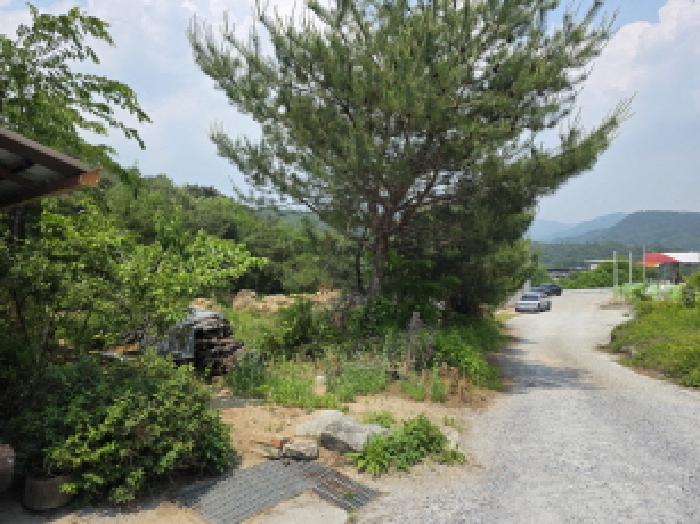 본건 1 전경