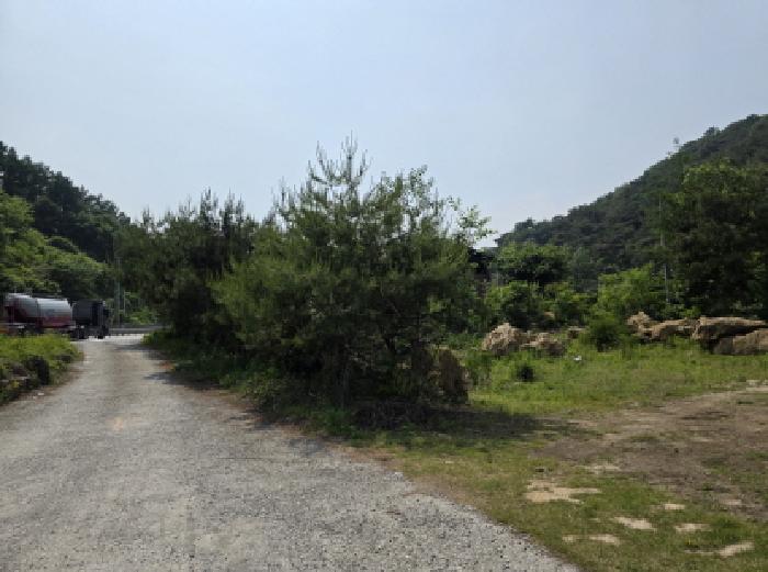 본건 1 전경
