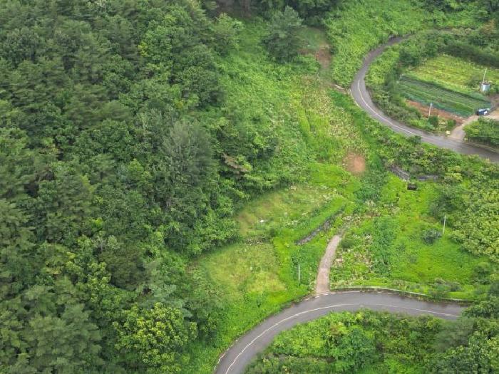 본건 전경 및 분묘 수기 소재함.