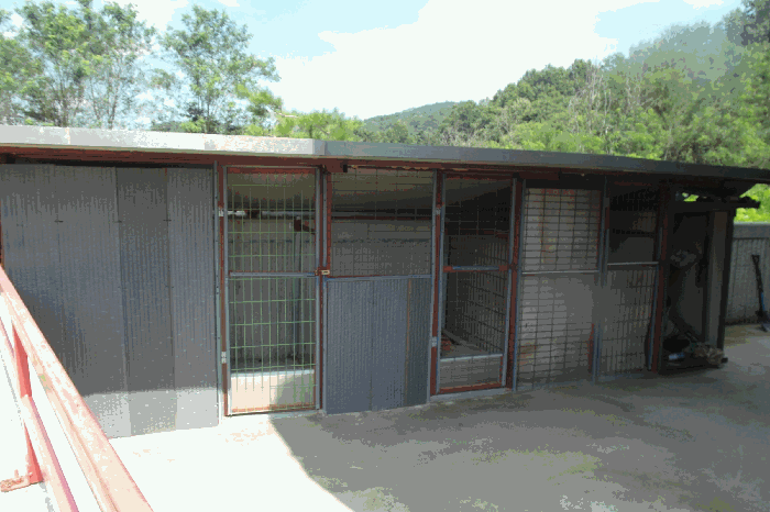 제시외 건물(축사)