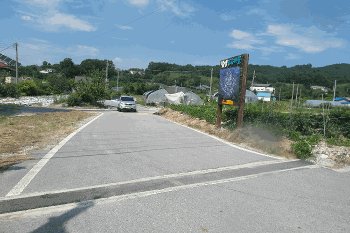 본건 기호4)토지 근경(현 도로)