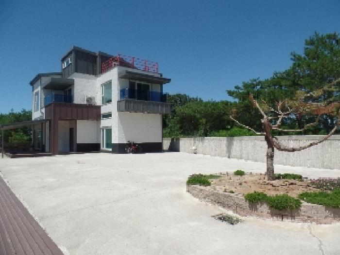 기호 1. 및 지상 제시외 ㄹ. 소나무 소재