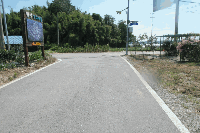 본건 기호4)토지 근경(현 도로)