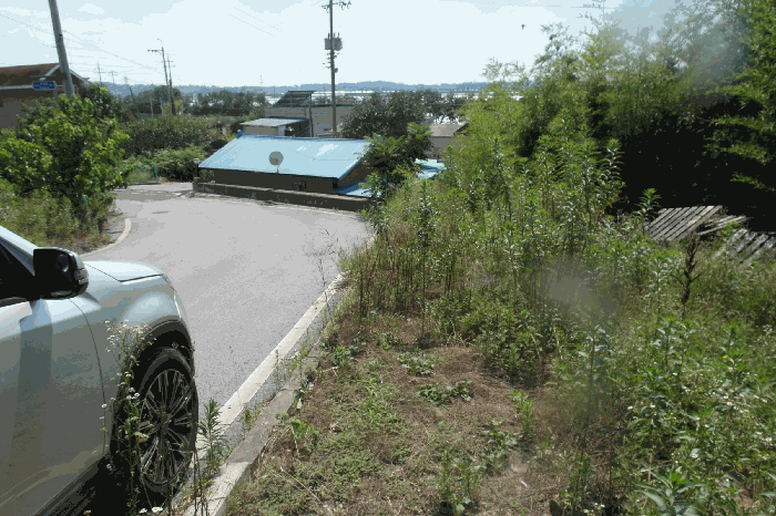 본건 기호3) 토지 근경(현 잡종지 및 타인점유부분)