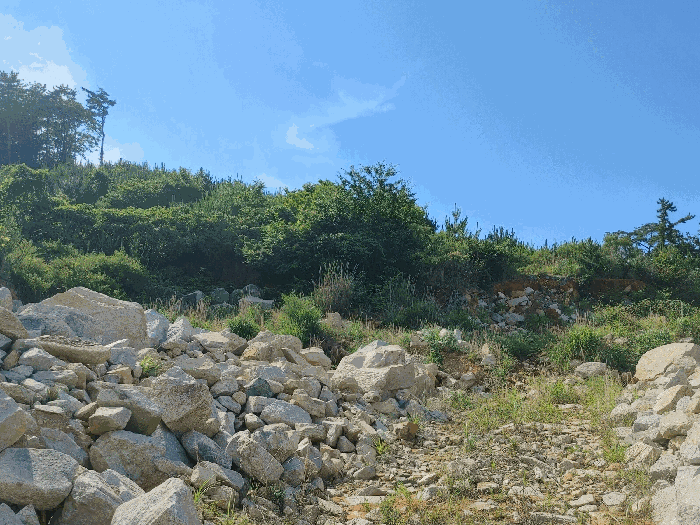 기호 2 토지 전경