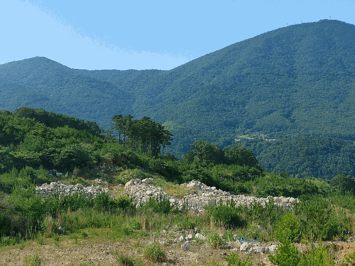 기호 1,2 토지 전경