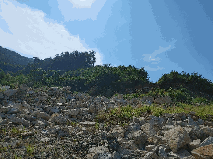 기호 1 토지 전경