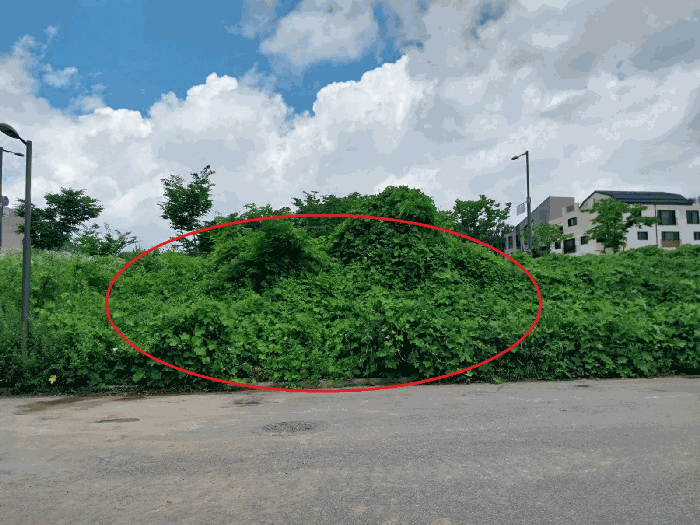 표준지(역동 322-2)