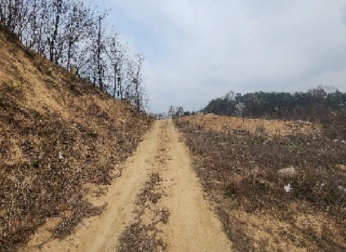 충청북도 옥천군 동이면 지양리 산72-1