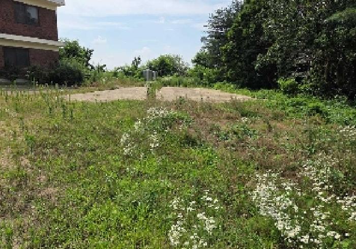 표시목록 1번 전경