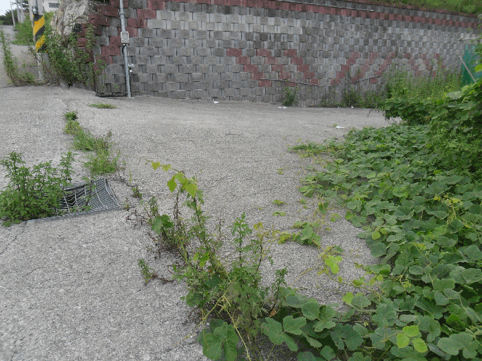 본건기호2 토지