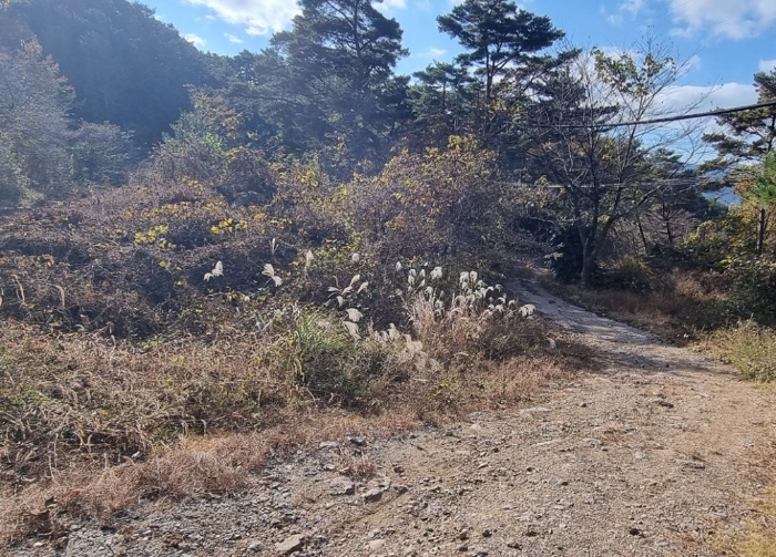 일련번호(6,8) 전경 