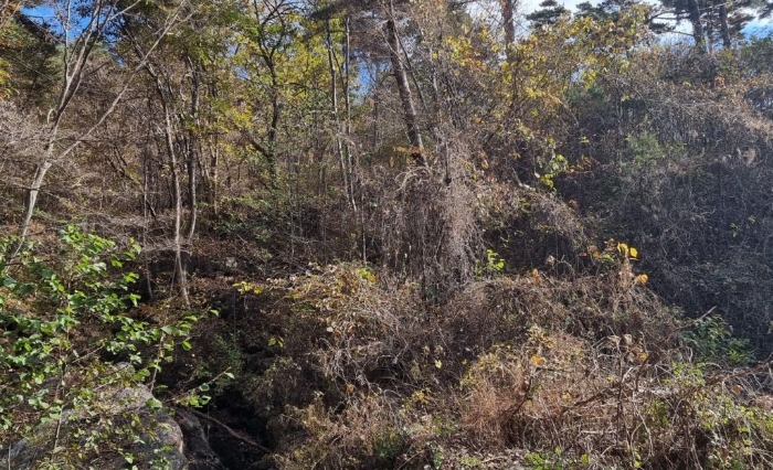 일련번호(7) 및 일련번호(29) 일부 전경 