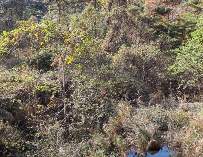 일련번호(9) 전경 