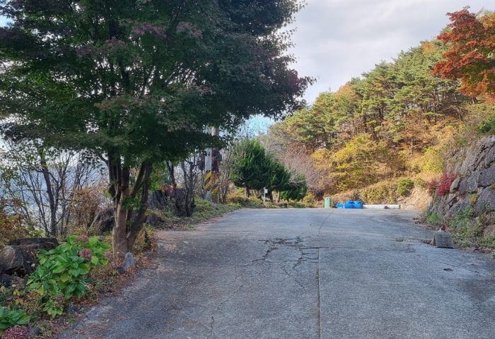 일련번호(10) 전경 