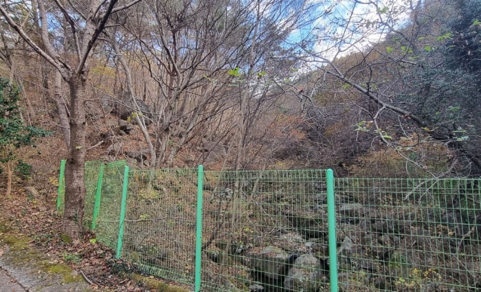 일련번호(11,13) 및 일련번호(29) 일부 전경 