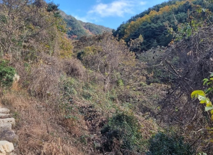 일련번호(12,14,15) 전경 