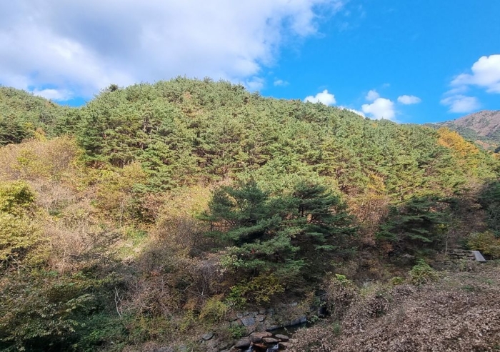 일련번호(16) 일부 전경 