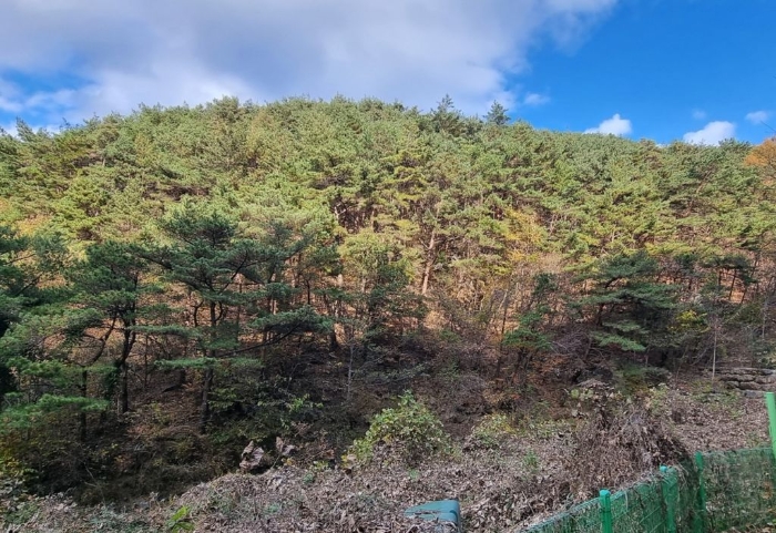 일련번호(16) 일부 전경 