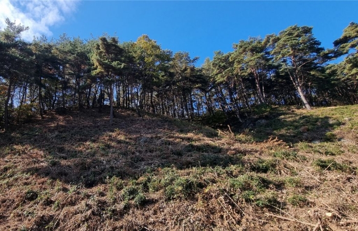 일련번호(17) 일부 전경 