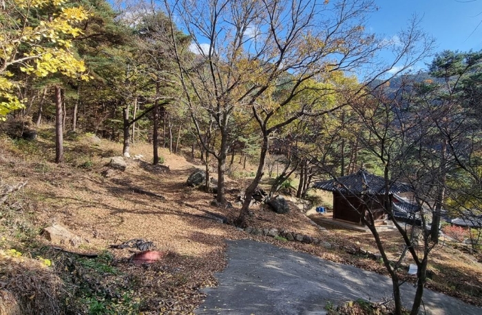 일련번호(17) 일부 전경 