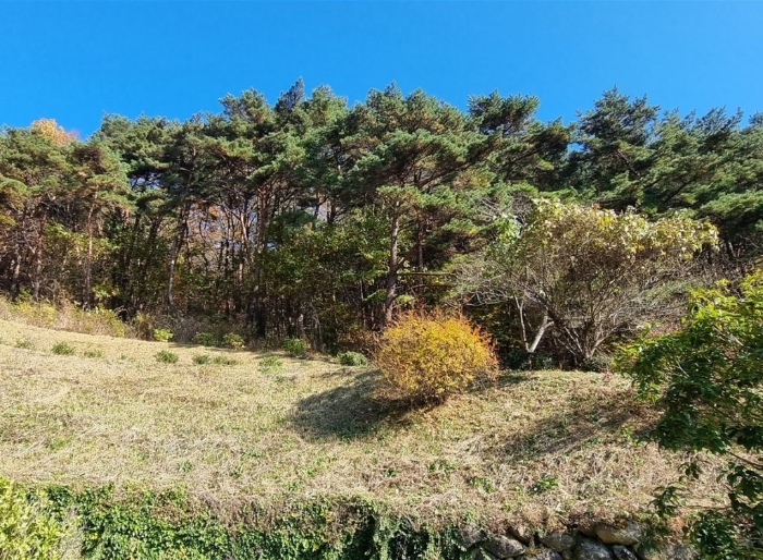 일련번호(17) 일부 전경 