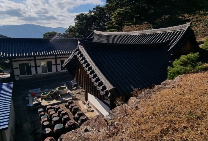 일련번호(25) 전경 