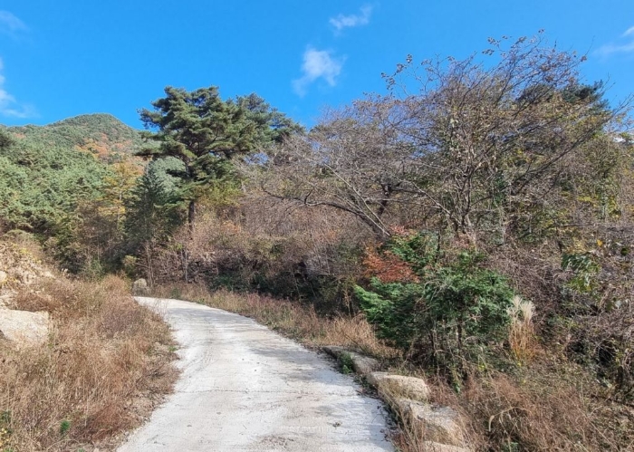 일련번호(29) 일부 전경 